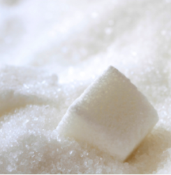 Logrus_pumps_for_sugar_industry_1